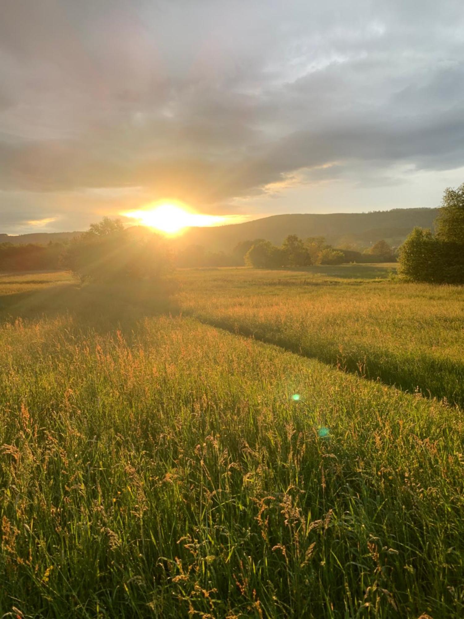 Villa Wolfs-Blick Langelsheim Esterno foto