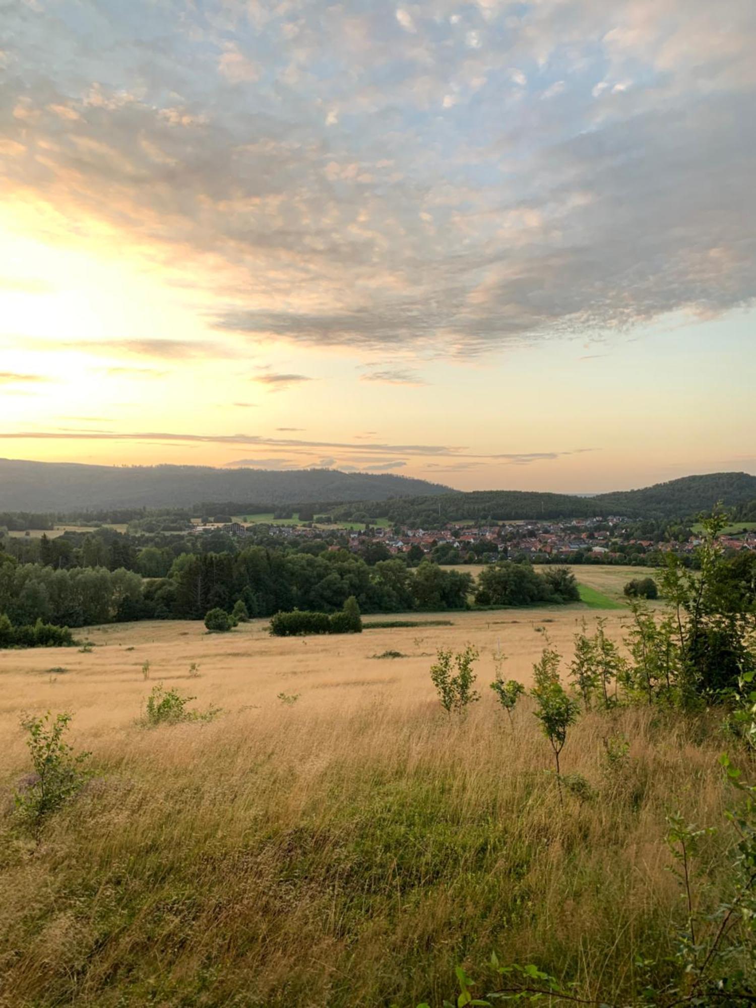 Villa Wolfs-Blick Langelsheim Esterno foto